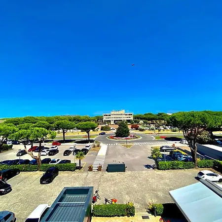 Falcone Lignano Sabbiadoro